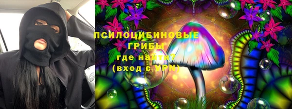 винт Алзамай