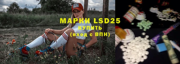 винт Алзамай