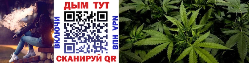 Конопля LSD WEED  где купить наркоту  Болохово 